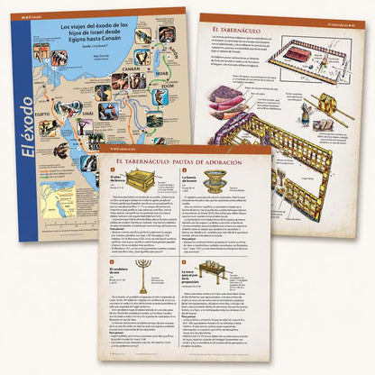 Book of Comparative Bible Charts, Maps and Timelines